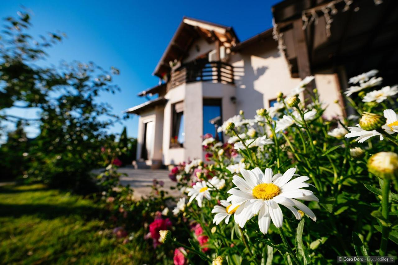 Casa Dora Hotell Suceava Exteriör bild